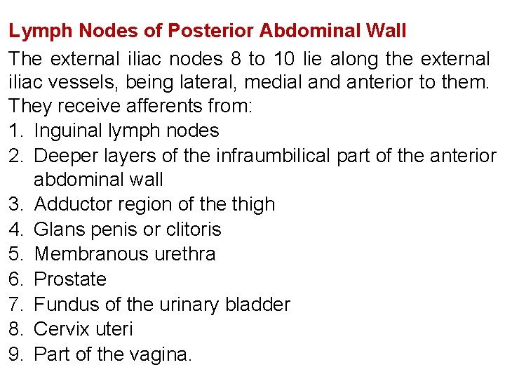 Lymph Nodes of Posterior Abdominal Wall The external iliac nodes 8 to 10 lie