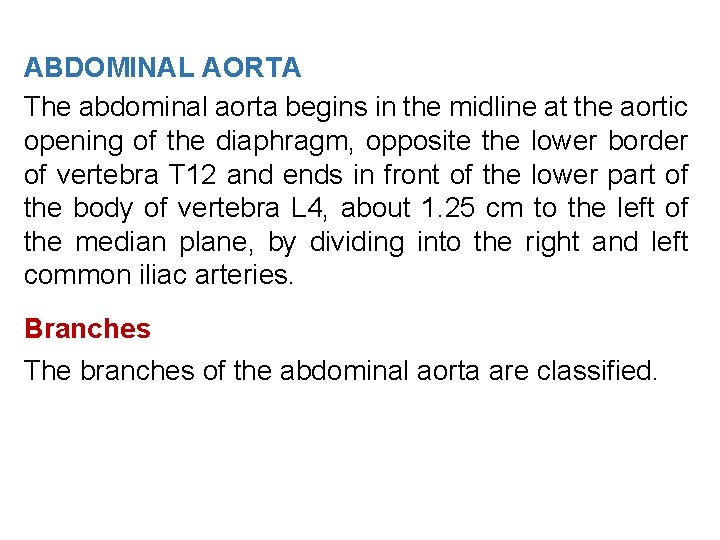 ABDOMINAL AORTA The abdominal aorta begins in the midline at the aortic opening of