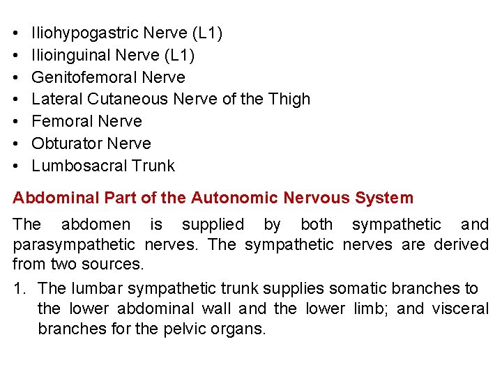  • • Iliohypogastric Nerve (L 1) Ilioinguinal Nerve (L 1) Genitofemoral Nerve Lateral