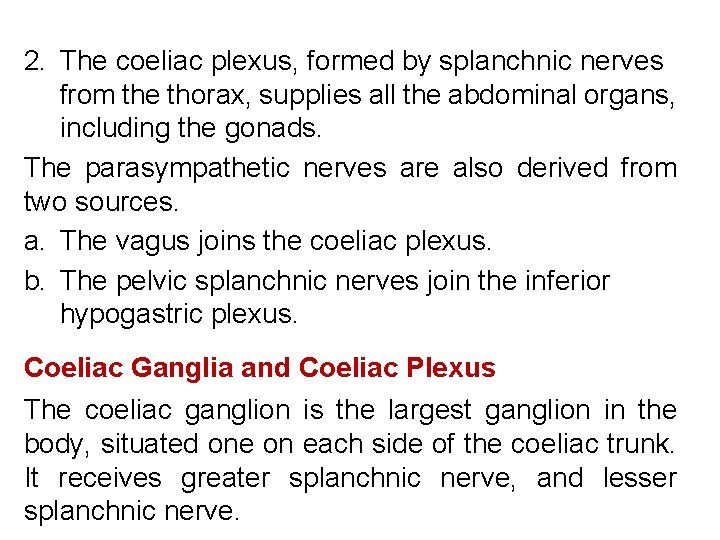 2. The coeliac plexus, formed by splanchnic nerves from the thorax, supplies all the