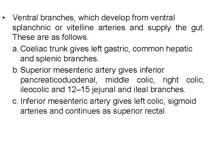  • Ventral branches, which develop from ventral splanchnic or vitelline arteries and supply