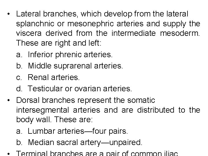  • Lateral branches, which develop from the lateral splanchnic or mesonephric arteries and