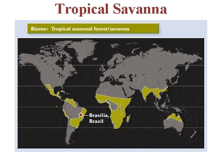 Tropical Savanna 