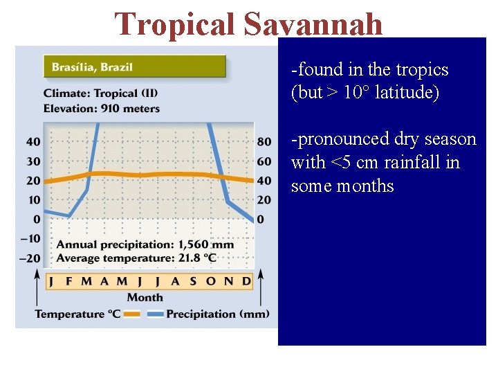 Tropical Savannah -found in the tropics (but > 10° latitude) -pronounced dry season with