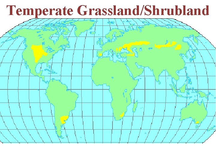 Temperate Grassland/Shrubland 