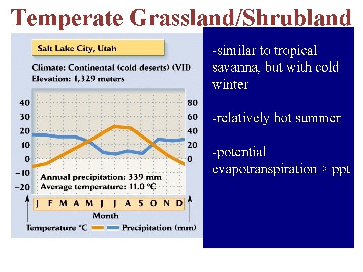 Temperate Grassland/Shrubland -similar to tropical savanna, but with cold winter -relatively hot summer -potential