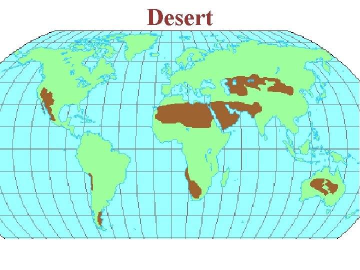 Desert 