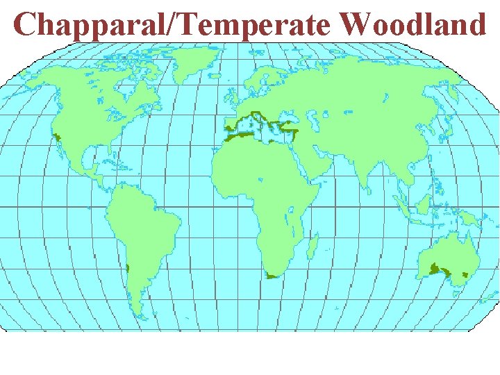 Chapparal/Temperate Woodland 