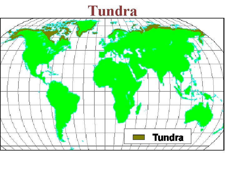 Tundra 