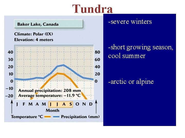 Tundra -severe winters -short growing season, cool summer -arctic or alpine 