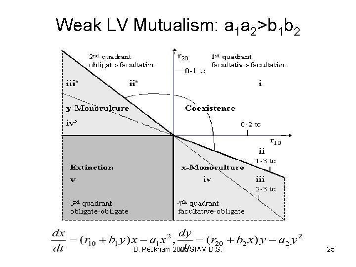 Weak LV Mutualism: a 1 a 2>b 1 b 2 B. Peckham 2005 SIAM