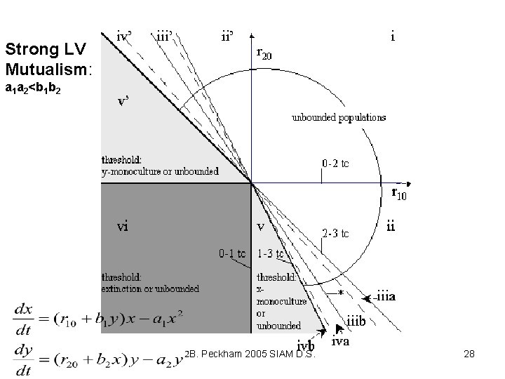 Strong LV Mutualism: a 1 a 2<b 1 b 2 B. Peckham 2005 SIAM