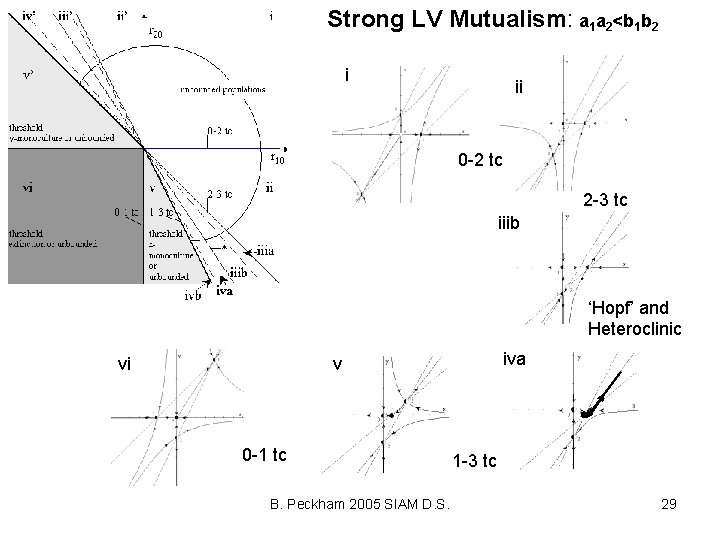 Strong LV Mutualism: a 1 a 2<b 1 b 2 i ii 0 -2