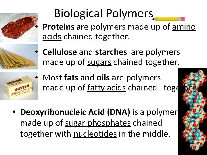 Biological Polymers • Proteins are polymers made up of amino acids chained together. •