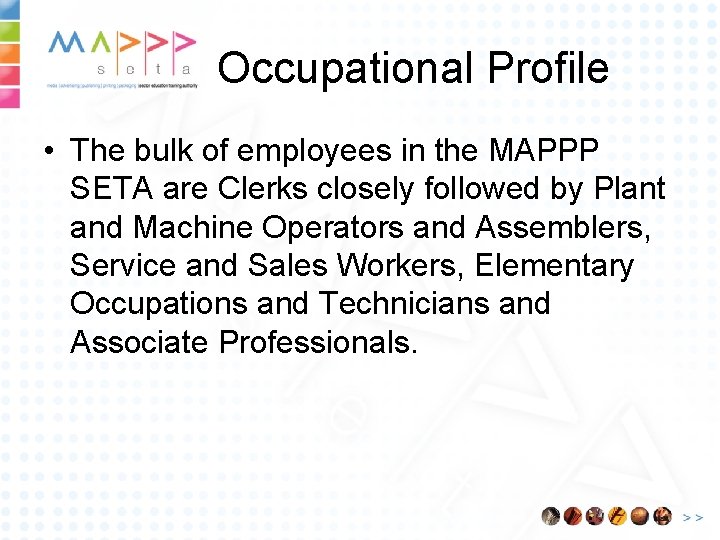 Occupational Profile • The bulk of employees in the MAPPP SETA are Clerks closely
