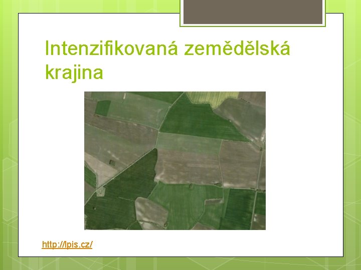 Intenzifikovaná zemědělská krajina http: //lpis. cz/ 