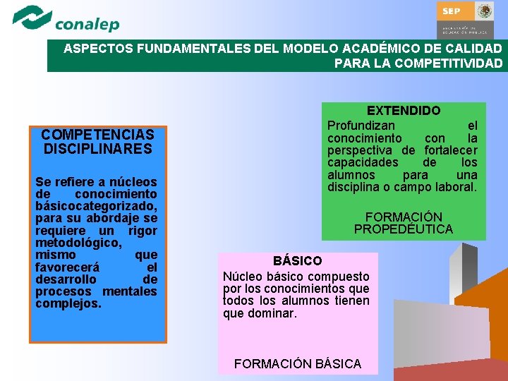 ASPECTOS FUNDAMENTALES DEL MODELO ACADÉMICO DE CALIDAD PARA LA COMPETITIVIDAD COMPETENCIAS DISCIPLINARES Se refiere