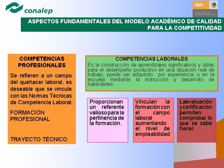 ASPECTOS FUNDAMENTALES DEL MODELO ACADÉMICO DE CALIDAD PARA LA COMPETITIVIDAD COMPETENCIAS PROFESIONALES Se refieren
