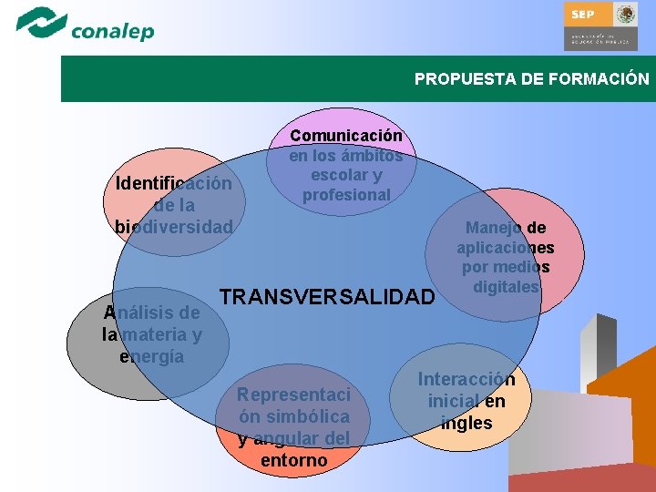 PROPUESTA DE FORMACIÓN Identificación de la biodiversidad Análisis de la materia y energía Comunicación