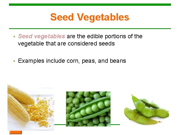 Seed Vegetables • Seed vegetables are the edible portions of the vegetable that are