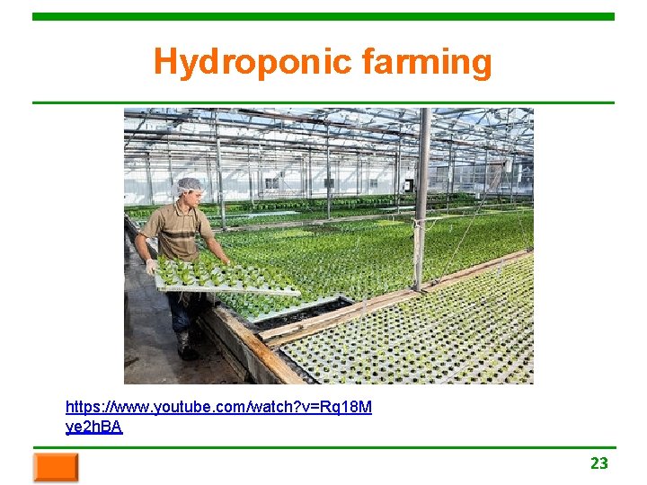 Hydroponic farming https: //www. youtube. com/watch? v=Rq 18 M ye 2 h. BA 23