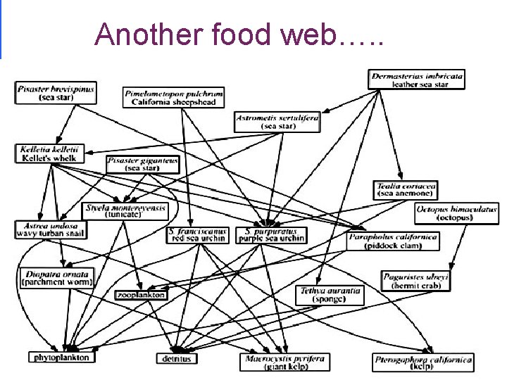 Another food web…. . 