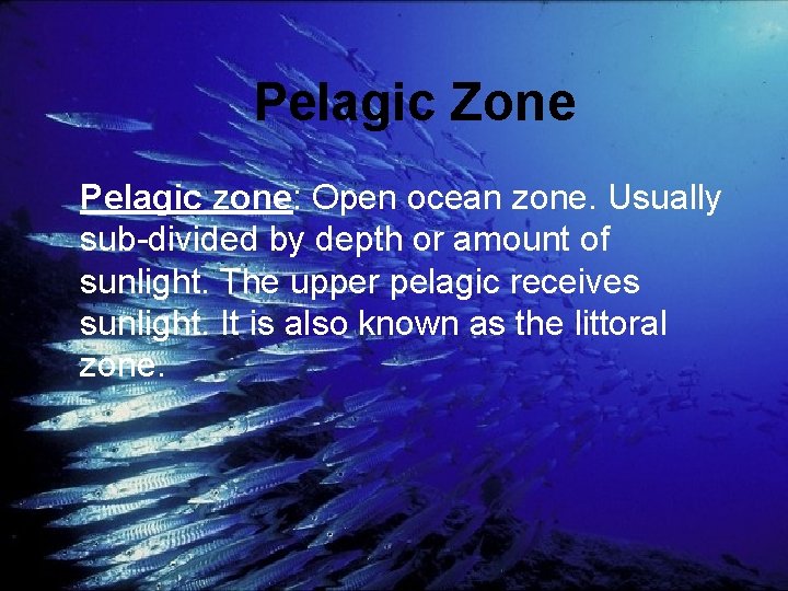 Pelagic. Zone Pelagic zone: Open ocean zone. Usually sub-divided by depth or amount of