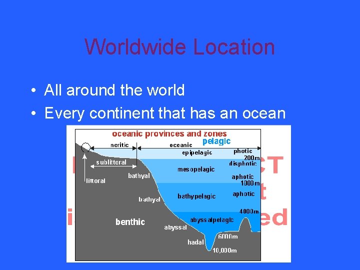Worldwide Location • All around the world • Every continent that has an ocean