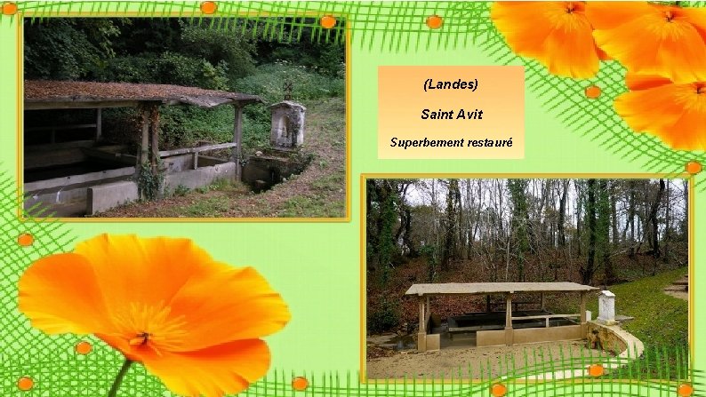 (Landes) Saint Avit Superbement restauré (Landes) Saint Avit Superbement restauré
