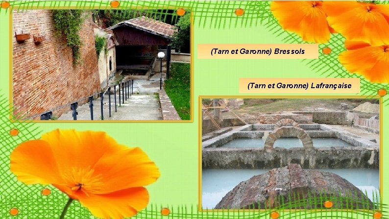 (Tarn et Garonne) Bressols (Tarn et Garonne) Lafrançaise (Tarn et Garonne) Bressols (Tarn et Garonne) Lafrançaise