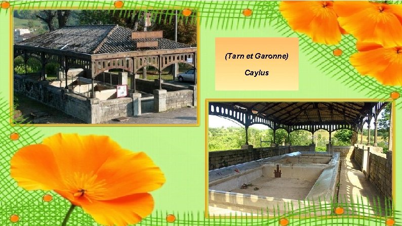 (Tarn et Garonne) Caylus (Tarn et Garonne) Caylus