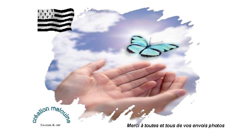 Merci à toutes et tous de vos envois photos Merci à toutes et tous de vos envois photos