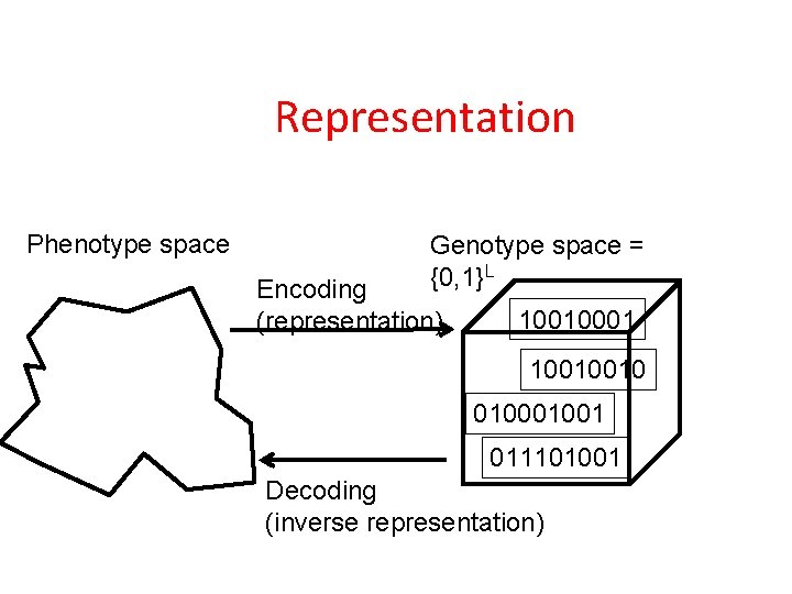 Representation Phenotype space Genotype space = {0, 1}L Encoding (representation) 10010001 10010010 01001 011101001