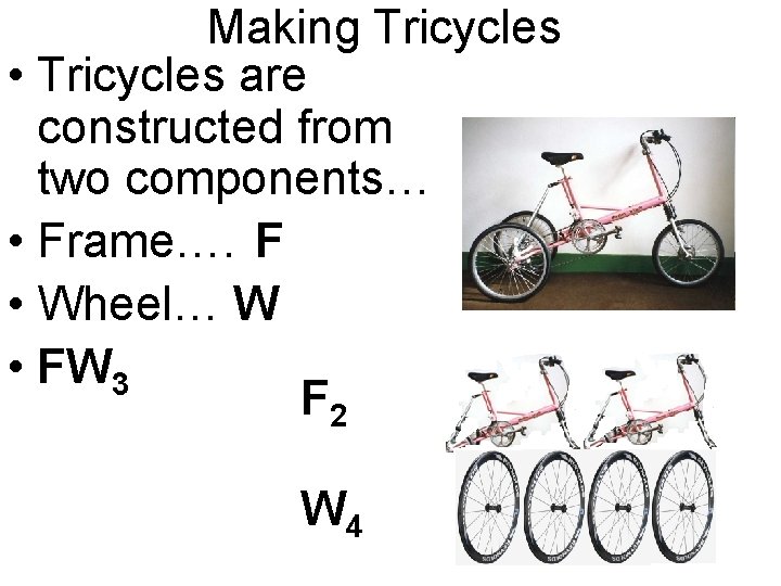 Making Tricycles • Tricycles are constructed from two components… • Frame…. F • Wheel…