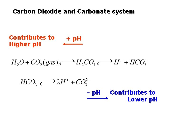 Carbon Dioxide and Carbonate system Contributes to Higher p. H + p. H -