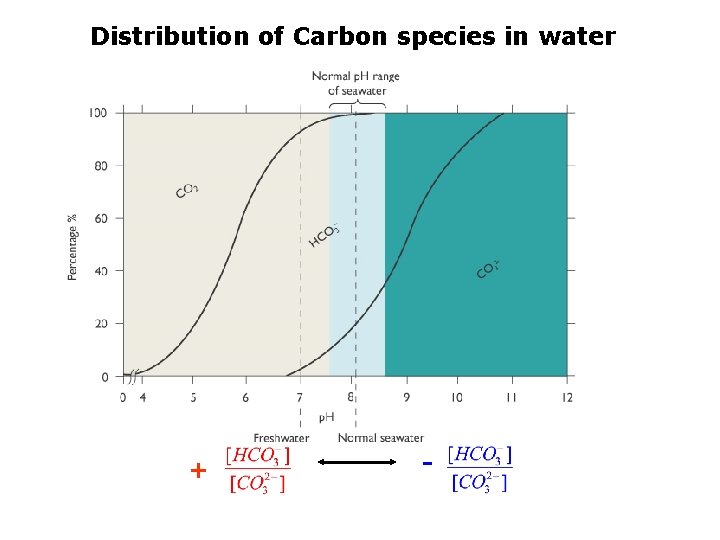 Distribution of Carbon species in water + - 