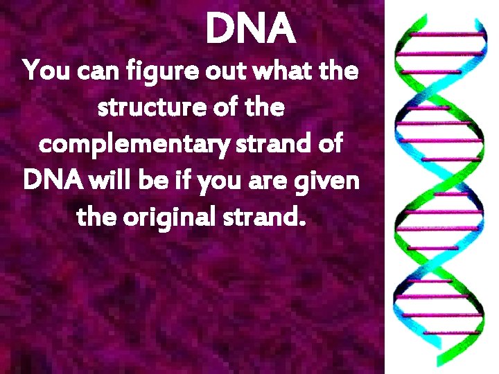 DNA You can figure out what the structure of the complementary strand of DNA