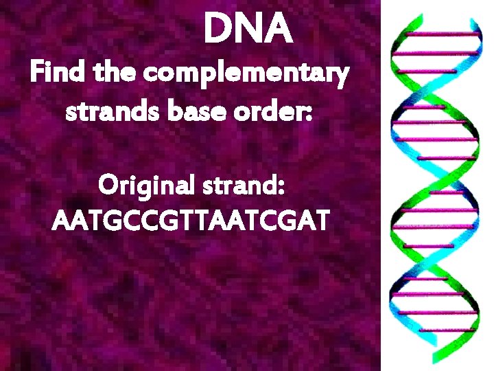 DNA Find the complementary strands base order: Original strand: AATGCCGTTAATCGAT 