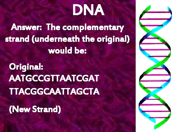 DNA Answer: The complementary strand (underneath the original) would be: Original: AATGCCGTTAATCGAT TTACGGCAATTAGCTA (New