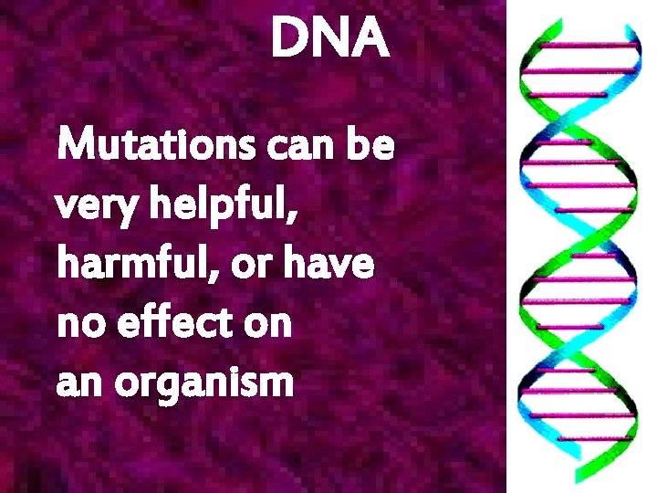 DNA Mutations can be very helpful, harmful, or have no effect on an organism