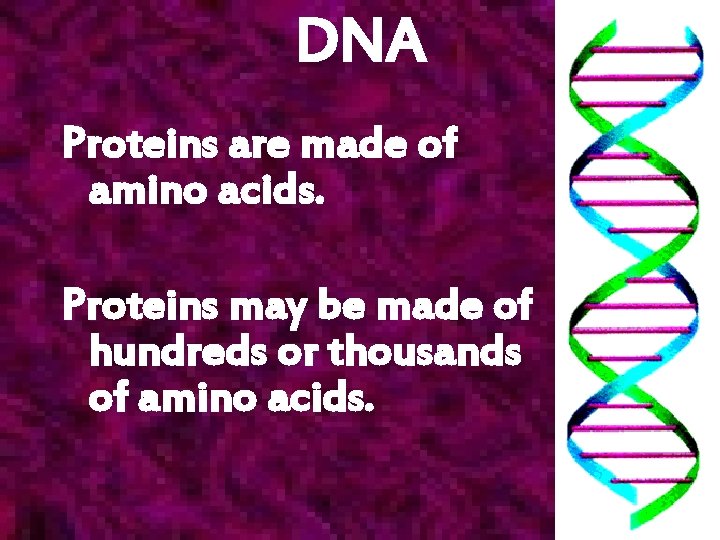 DNA Proteins are made of amino acids. Proteins may be made of hundreds or