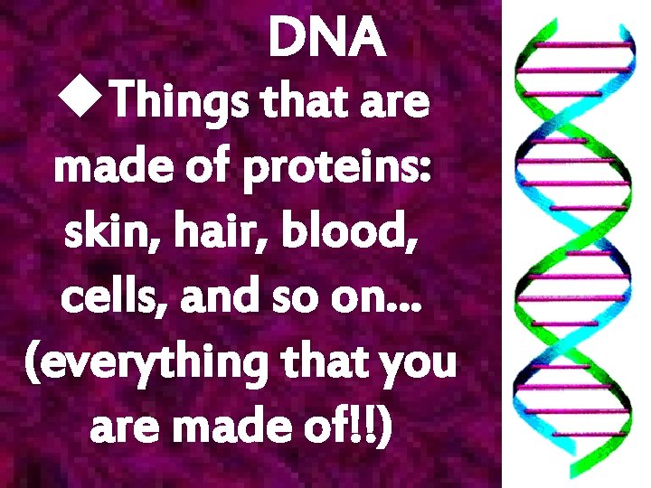 DNA u. Things that are made of proteins: skin, hair, blood, cells, and so