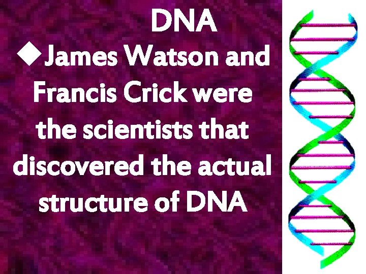 DNA u. James Watson and Francis Crick were the scientists that discovered the actual