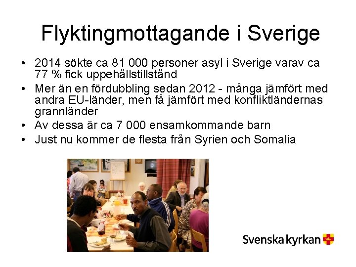 Flyktingmottagande i Sverige • 2014 sökte ca 81 000 personer asyl i Sverige varav