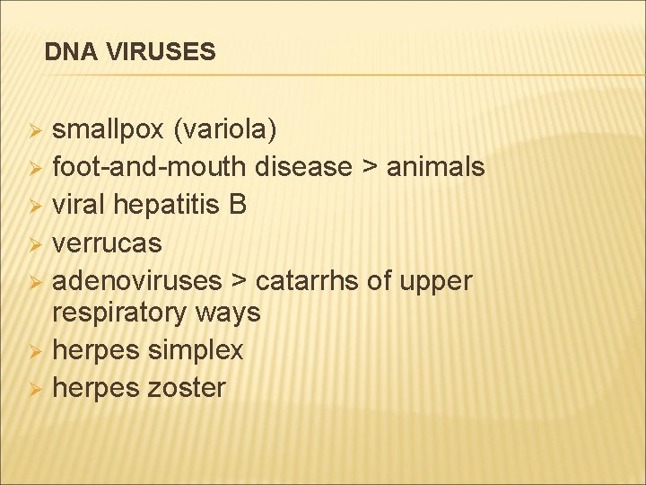 DNA VIRUSES smallpox (variola) Ø foot-and-mouth disease > animals Ø viral hepatitis B Ø