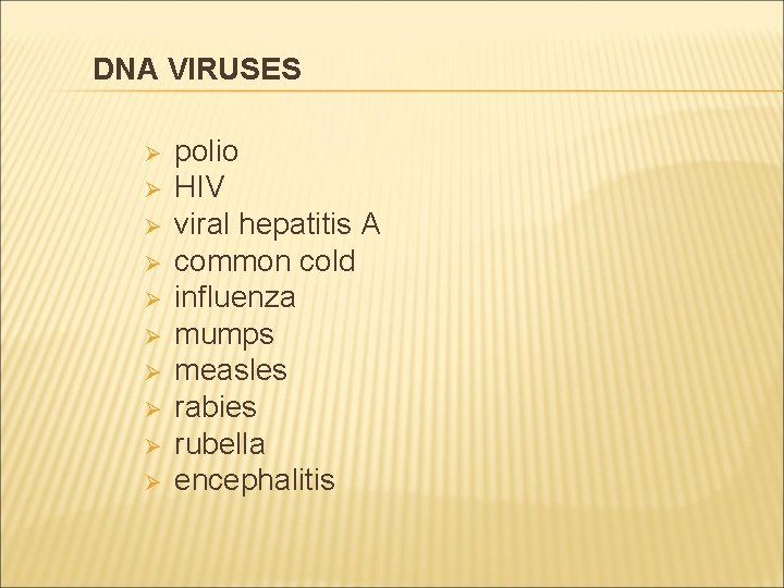 DNA VIRUSES Ø Ø Ø Ø Ø polio HIV viral hepatitis A common cold