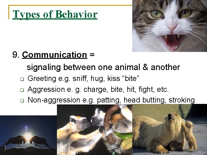 Types of Behavior 9. Communication = signaling between one animal & another q q