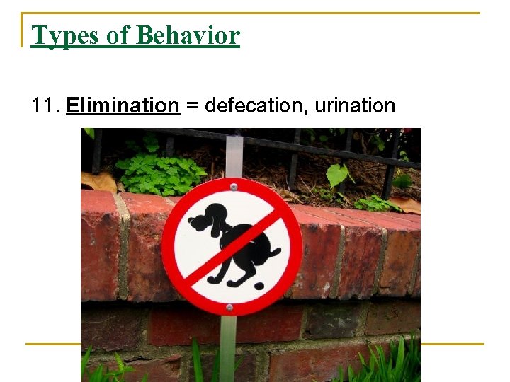Types of Behavior 11. Elimination = defecation, urination 