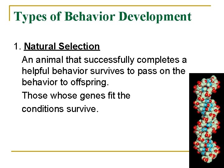 Types of Behavior Development 1. Natural Selection An animal that successfully completes a helpful