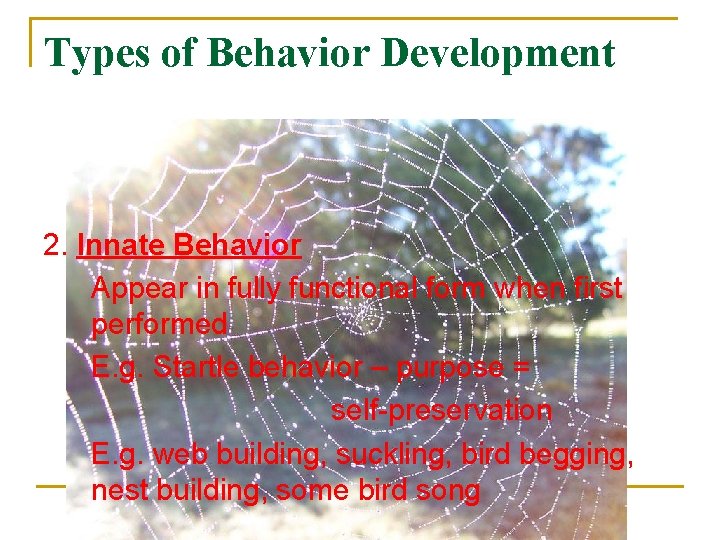 Types of Behavior Development 2. Innate Behavior Appear in fully functional form when first